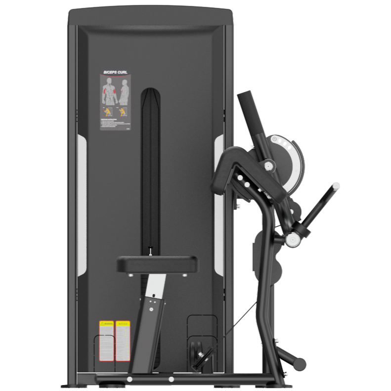 Dual Series Commercial Bicep Curl & Tricep Extension
