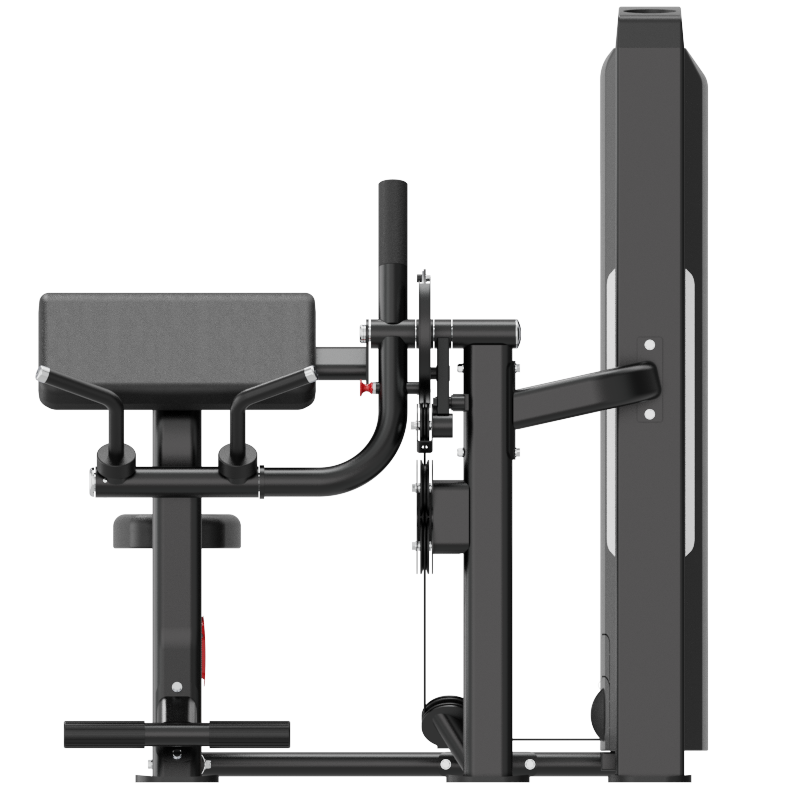 Dual Series Commercial Bicep Curl & Tricep Extension
