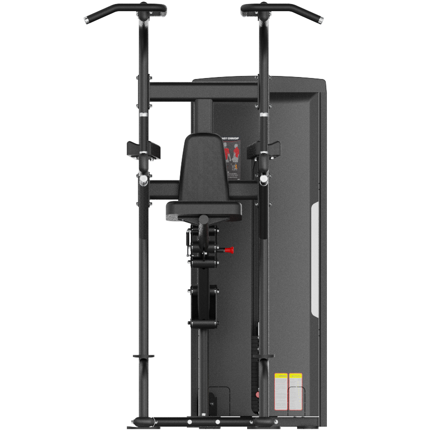 Dual Series Commercial Assisted Chin & Dip