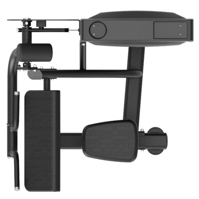 Elite Series Commercial Seated Bicep Curl