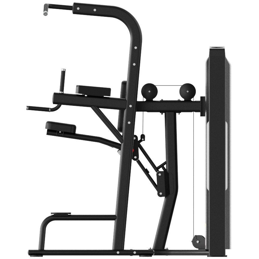 Dual Series Commercial Assisted Chin & Dip