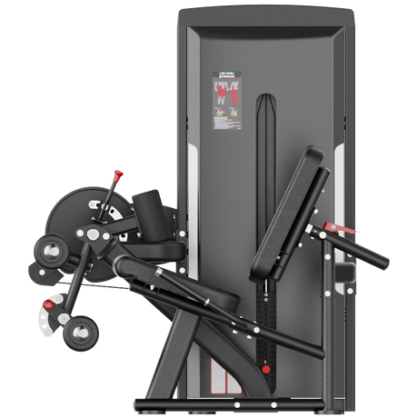Dual Series Seated Leg Curl / Leg Extension