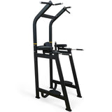 Commercial Vertical Knee Raise / Chin Dip Frame (VKR)