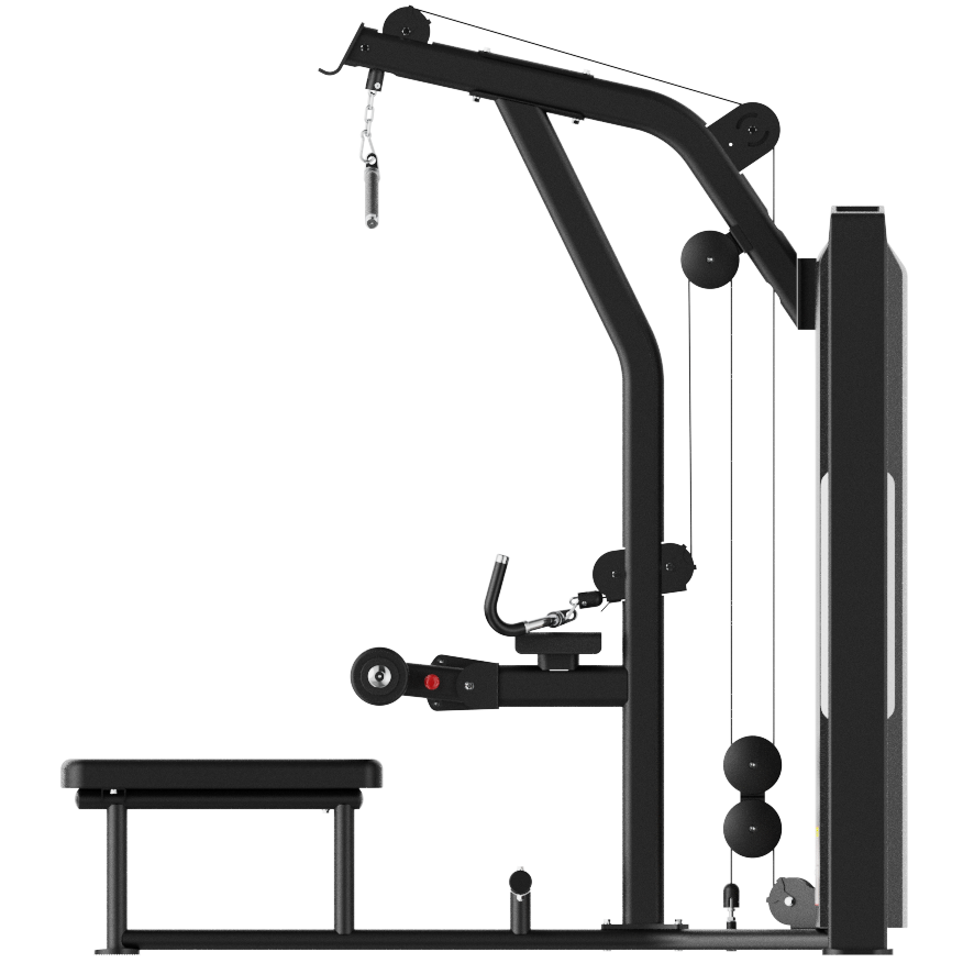 Dual Series Commercial Lat Pulldown / Low Row