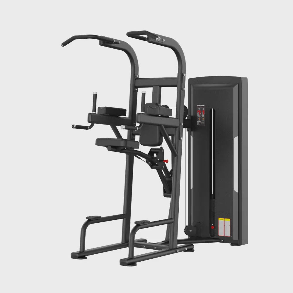 Dual Series Commercial Assisted Chin & Dip
