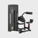Dual Series Commercial Abdominal Crunch / Back Extension